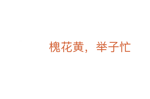 槐花黃，舉子忙