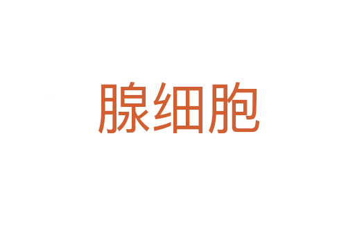腺細胞