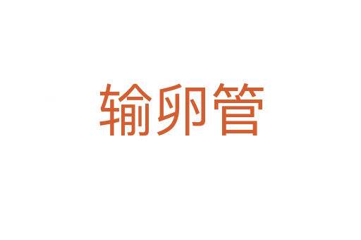 輸卵管