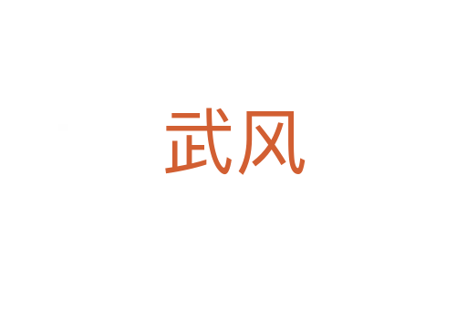 武風