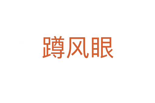 蹲風眼