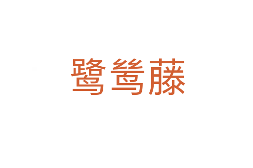 鷺鷥藤