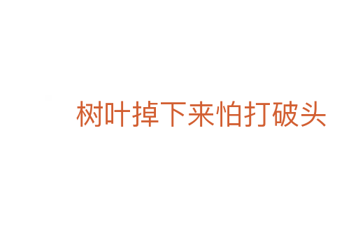 樹(shù)葉掉下來(lái)怕打破頭
