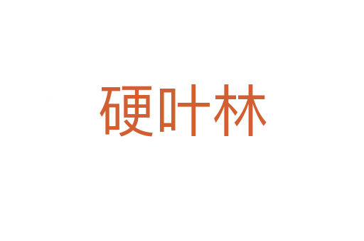 硬葉林