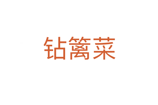 鉆籬菜