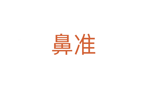 鼻準