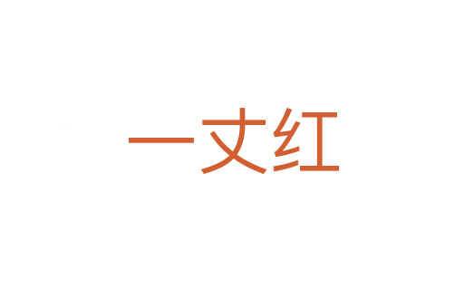 一丈紅