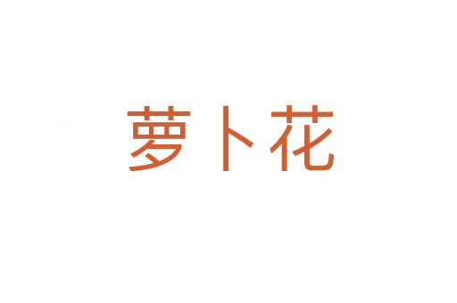 蘿卜花