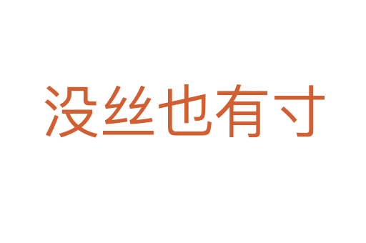 沒絲也有寸