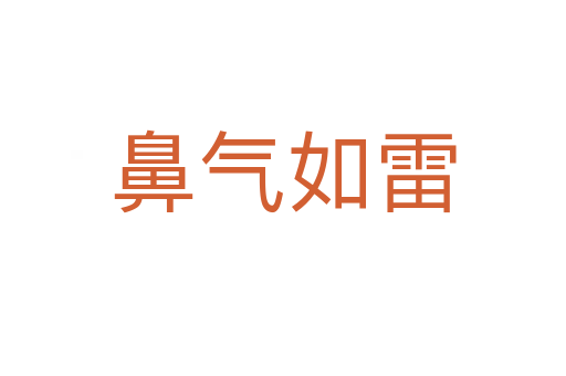 鼻氣如雷