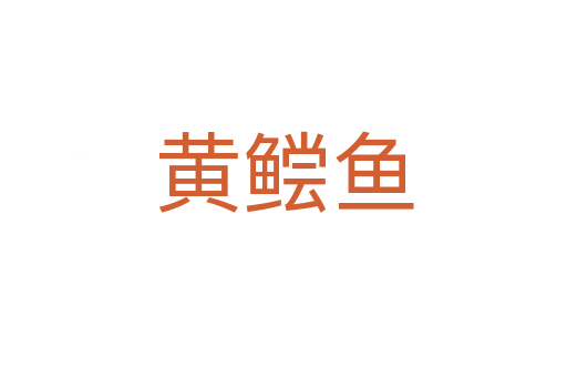 黃鲿魚