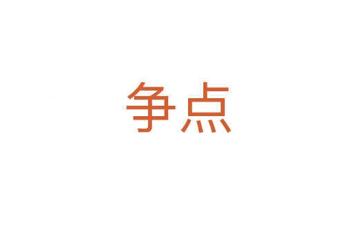 爭(zhēng)點(diǎn)