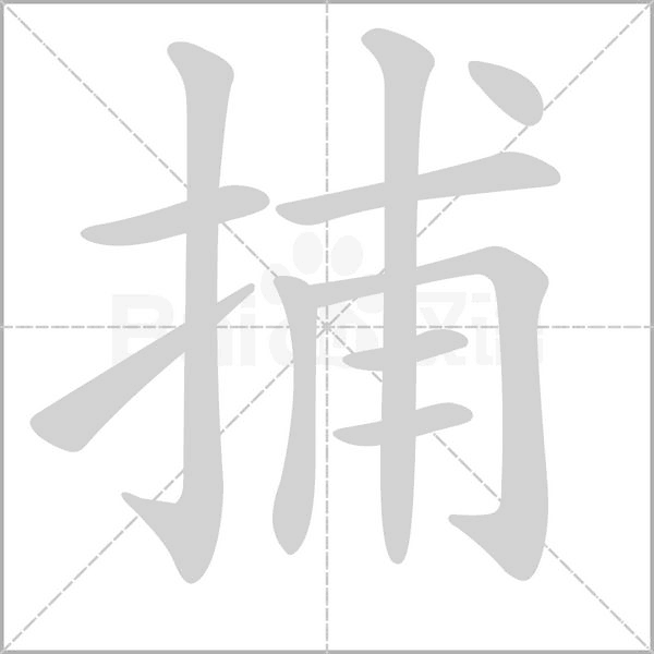 捕的筆順動(dòng)畫演示