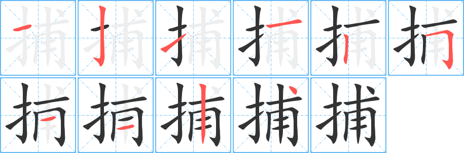 捕的筆順?lè)植窖菔?>
					
                    <hr />
                    <h2>捕的基本信息</h2>
                    <div   id=