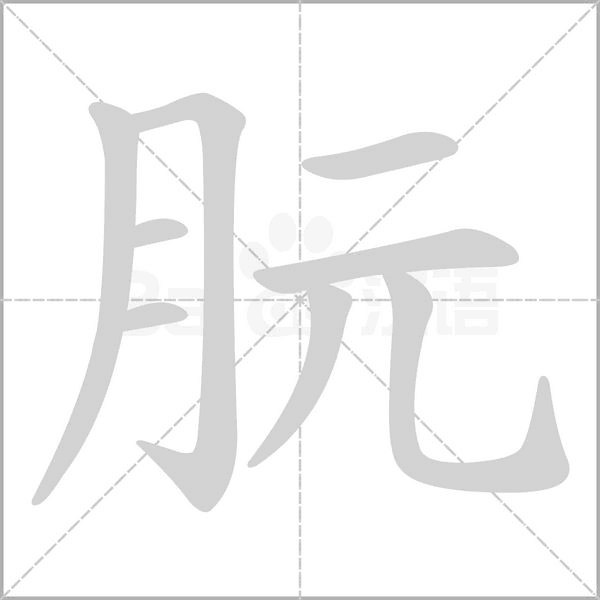 朊的筆順動畫演示