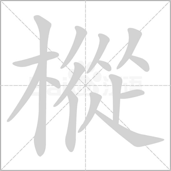 樅的筆順動(dòng)畫演示