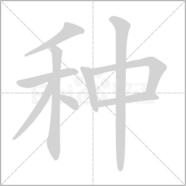 種的筆順動畫演示