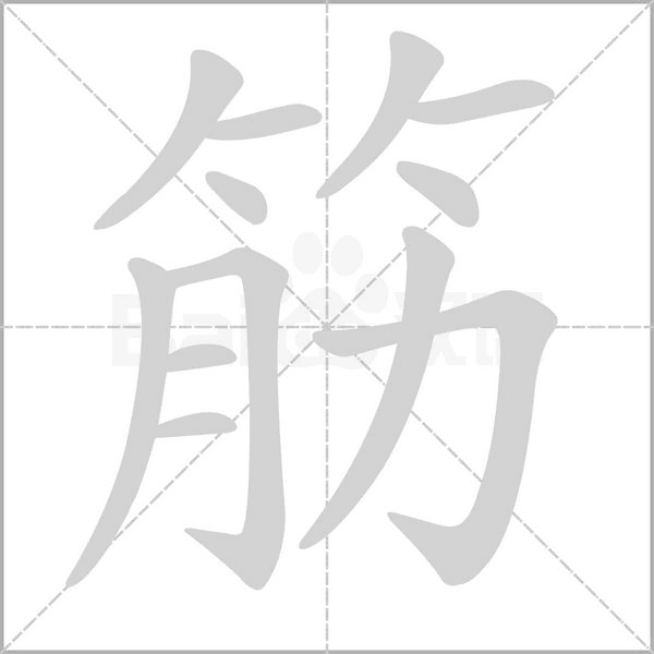 筋的筆順動(dòng)畫(huà)演示