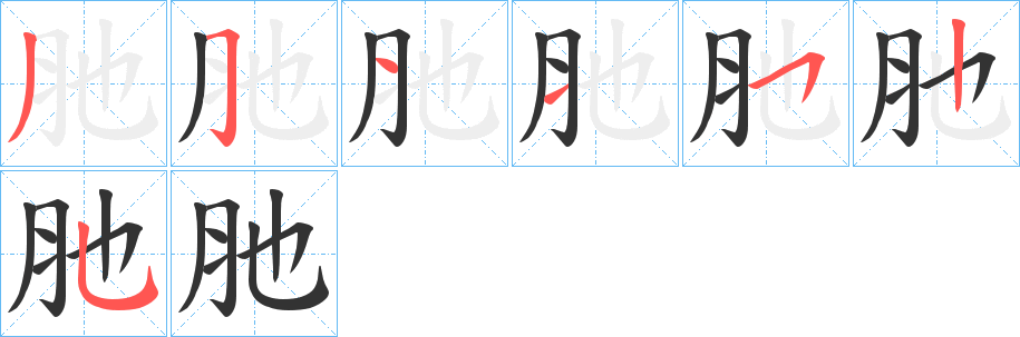 肔的筆順分步演示