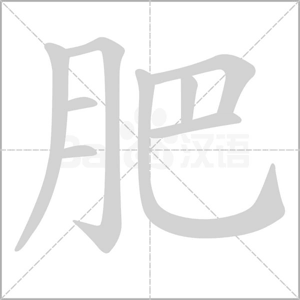 肥的筆順動畫演示