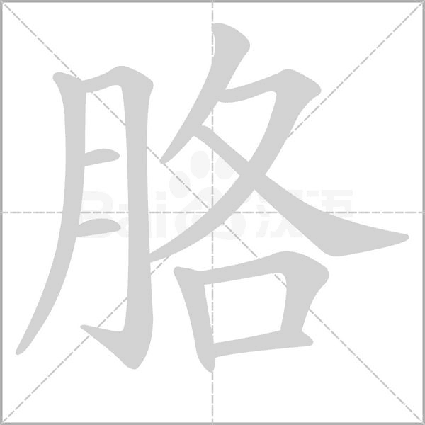 胳的筆順動(dòng)畫演示