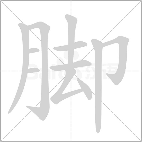 腳的筆順動(dòng)畫演示