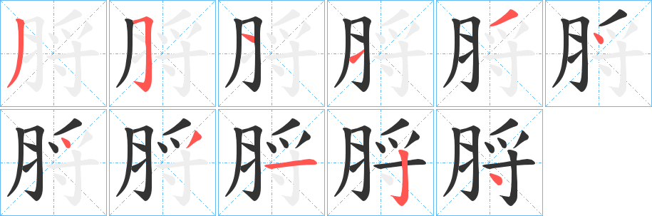 脟的筆順?lè)植窖菔?>
					
                    <hr />
                    <h2>脟的基本信息</h2>
                    <div   id=