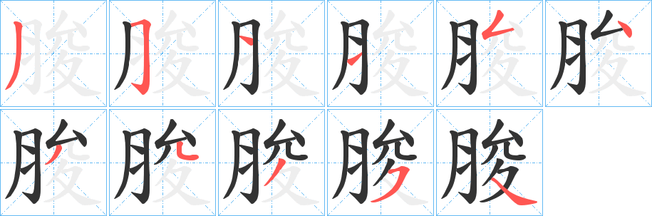 脧的筆順?lè)植窖菔?>
					
                    <hr />
                    <h2>脧的基本信息</h2>
                    <div   id=