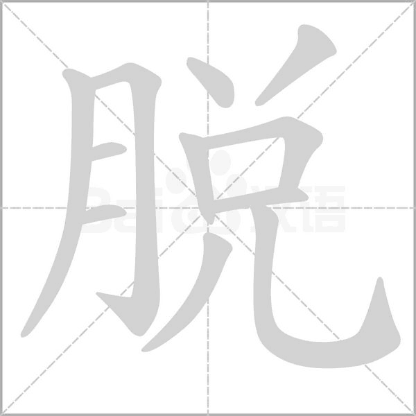 脫的筆順動畫演示
