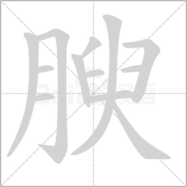 腴的筆順動(dòng)畫演示