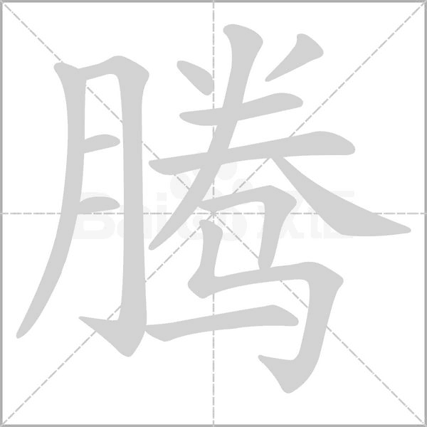 騰的筆順動(dòng)畫演示