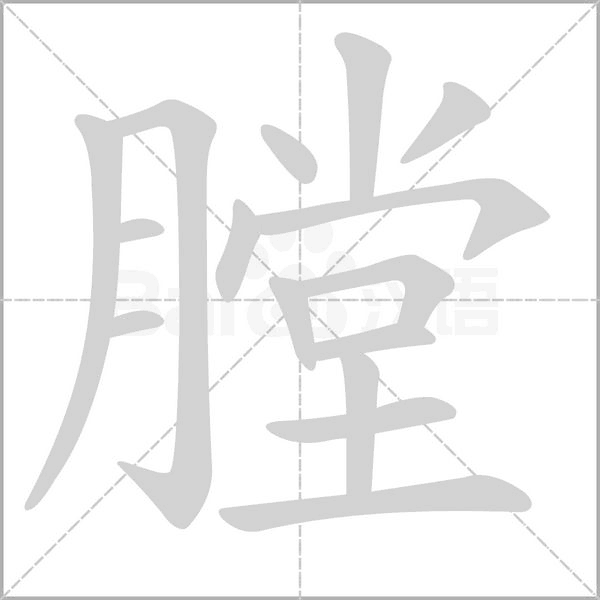 膛的筆順動(dòng)畫演示