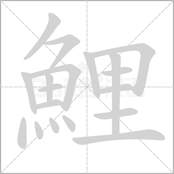 鯉的筆順動畫演示