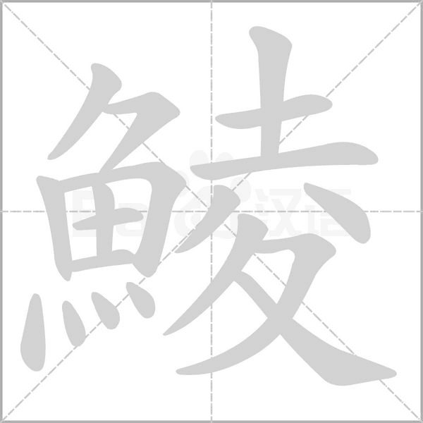 鯪的筆順動(dòng)畫(huà)演示