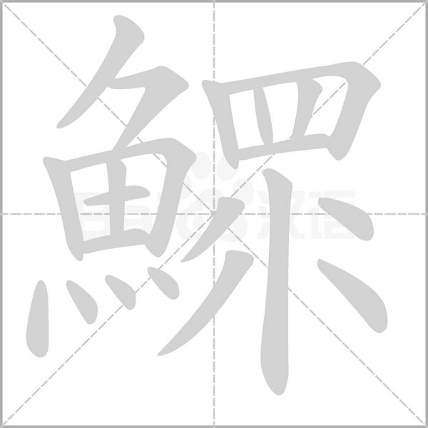 鰥的筆順動畫演示