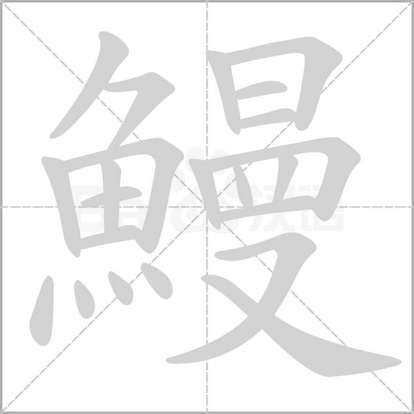 鰻的筆順動(dòng)畫(huà)演示