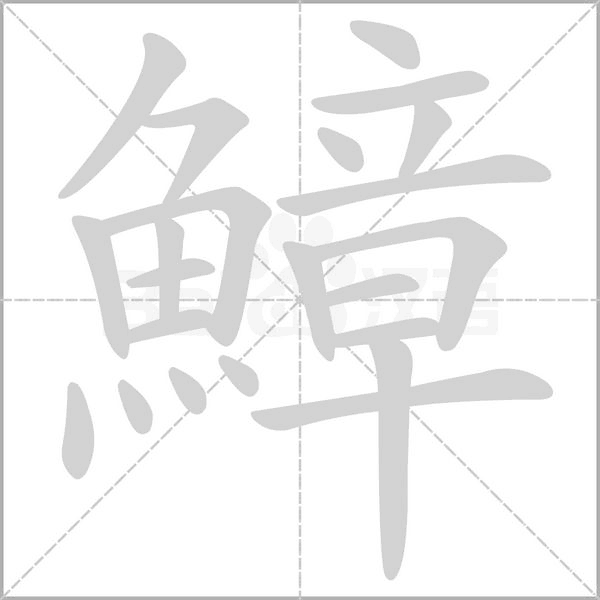 鱆的筆順動(dòng)畫(huà)演示