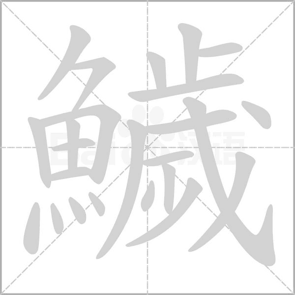 鱥的筆順動(dòng)畫(huà)演示