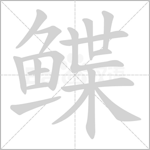 鰈的筆順動(dòng)畫(huà)演示